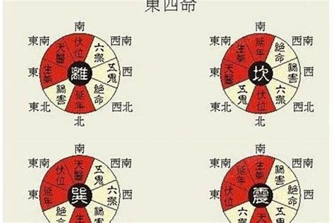 东四命离命人|离宫东四命是什么意思